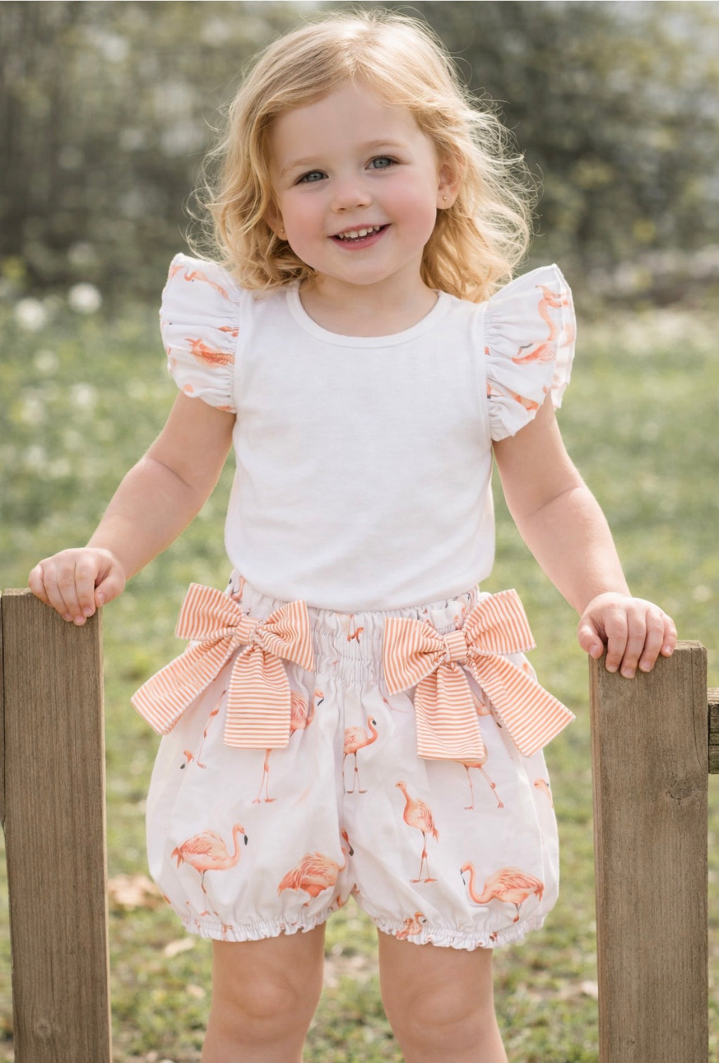 Meia Pata Bubble Flamingo T-shirt and Shorts Set